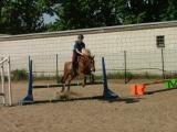 Hopp Hopp Hopp Hopp Hopp Hopp