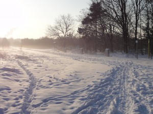 Gedächnisspiel
