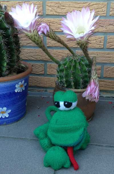 Frosch Fingerspiel