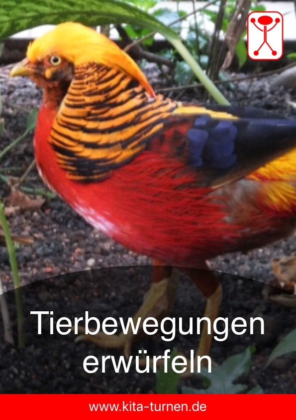 Tierbewegungen erwürfeln