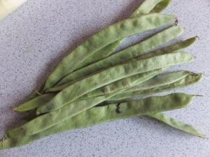 Tischspruch für den Kindergarten