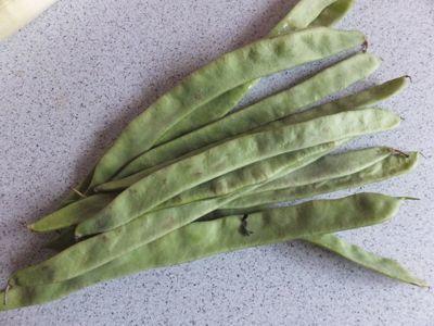 Tischspruch für den Kindergarten