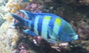 Spielideen mit Zeitungen