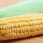Spielesammlung "Rund um die Ernährung"