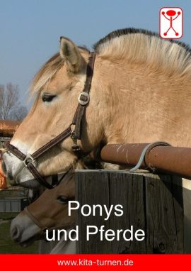 Ponys und Pferde im Kindergarten