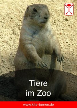 Tiere im Zoo
