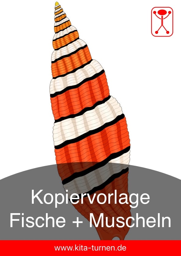 Kopiervorlagen Fische + Muscheln