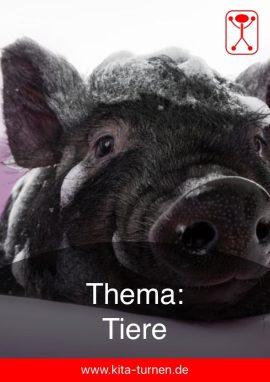 Tiere