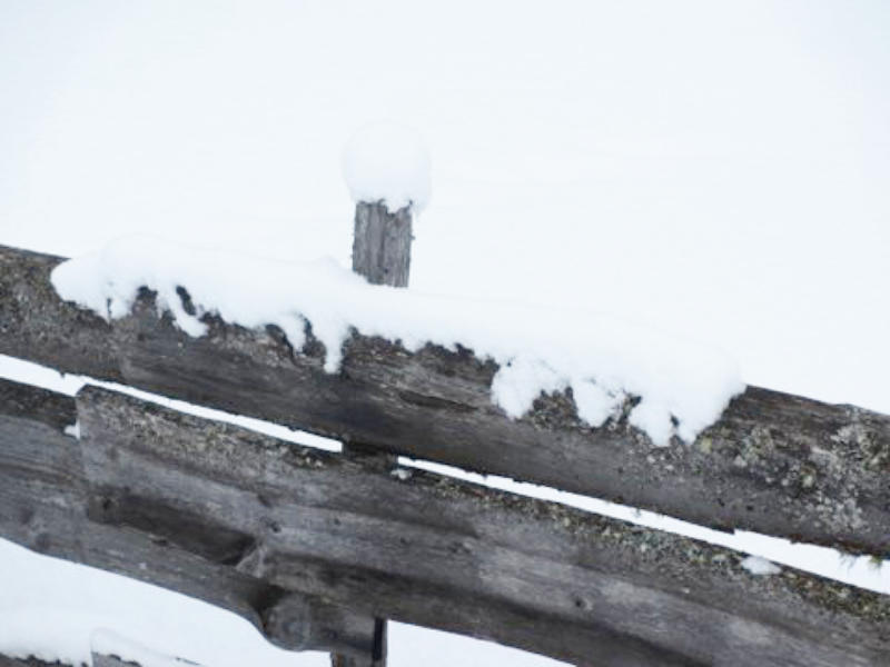 Bewegungsspiele Winter